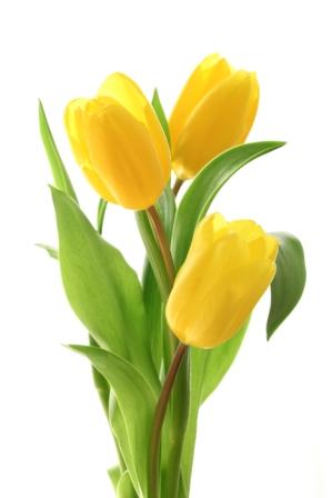 Жас арулар анальді және фистингті жақсы көреді