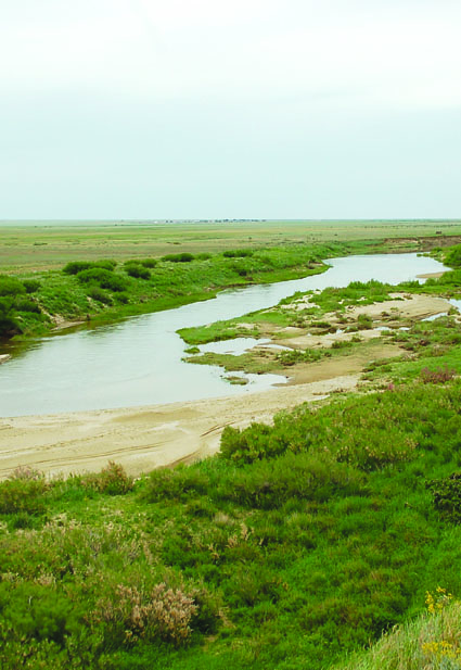 Әйелдердің жамбас пішіндері: эротикалық фотосуреттер Анасы ұлының бөлмесіне кіріп, порно көруге қарсы тұра алмады.