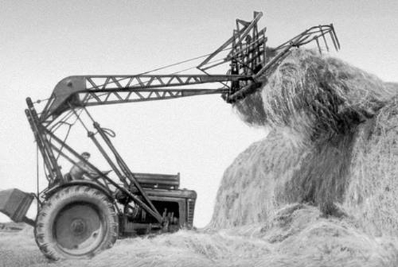 Біреуі еркектің анусын жалайды, екіншісі сорады